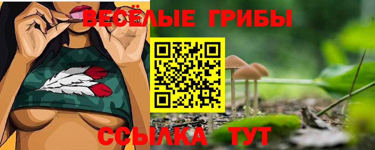 Ирбит  Галлюциногенные грибы Psilocybe  как найти   Вход с VPN 
